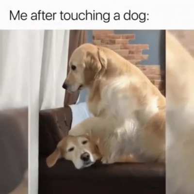 eh that’s cute
