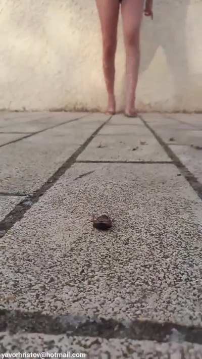 Girl crush roach
