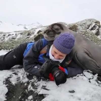 Unexpected consequences of wildlife photography