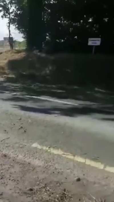 Motorcyclist dies while going over 200mph