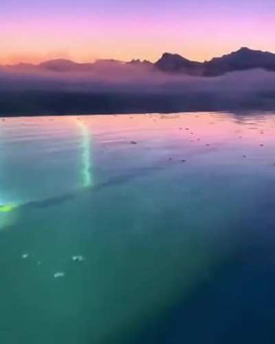 How calm the water is