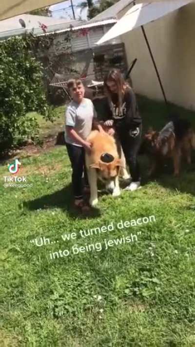 What about the other dog? Oh-
