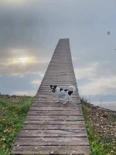 Ladder to the sky in Latvia