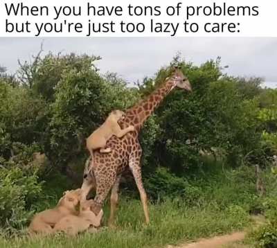 Ну купи, ну купи!!!