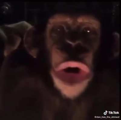 Monke
