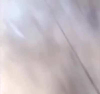 Mi perro actúa raro, no creen?