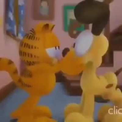 XD