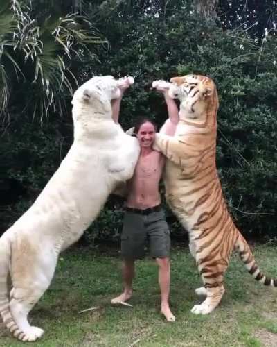 Feeding two units