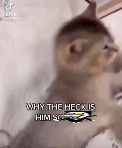 Why he built like a [[HYPERLINK BLOCKED]] Source: me