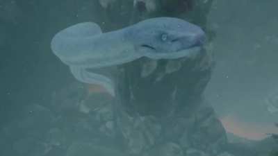 TIL you can be eaten by the Great Serpent.