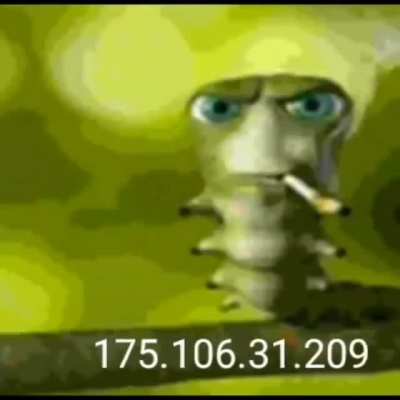 Dank catapilar