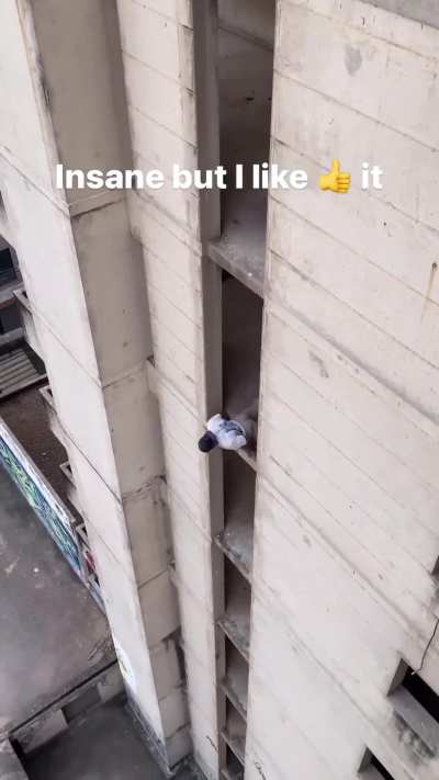 I couldn't do this.