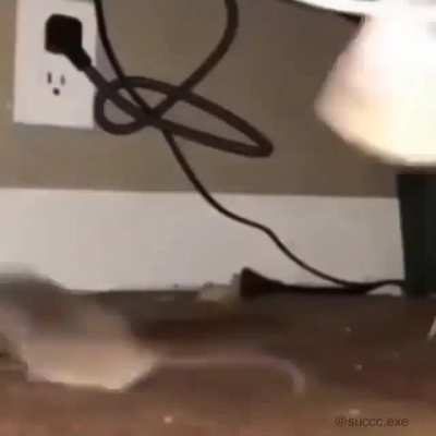 ....... .