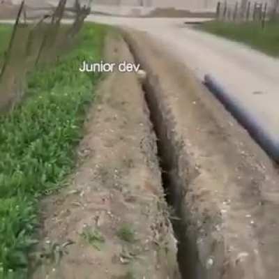 Senior Dev trying to help Junior! Can't stop laughing 😂