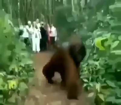 Monke