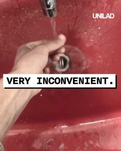 Idea of the century