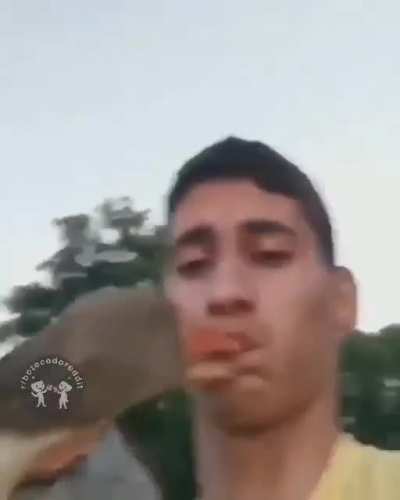 Que isso Petruchia?