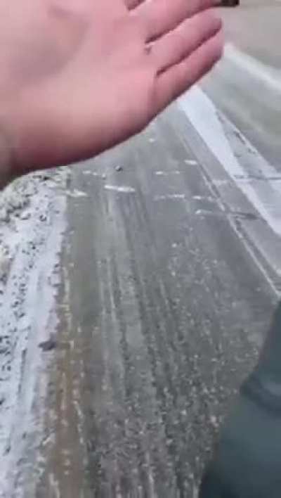 Еще видос с мишкой из Нижне<wbr>варто<wbr>вска вчера