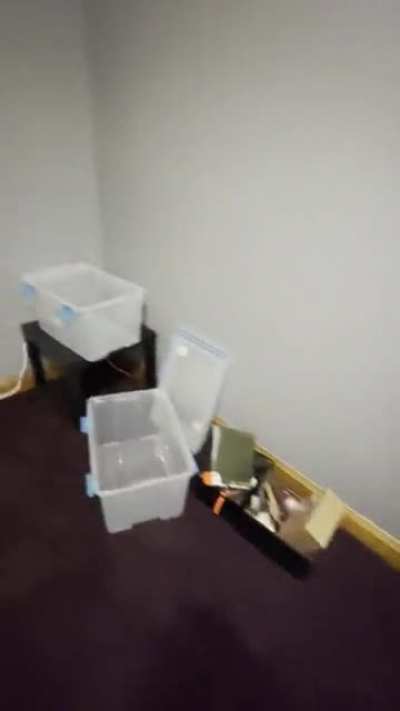 Roommate moved out, starting the dedicated print room remodel