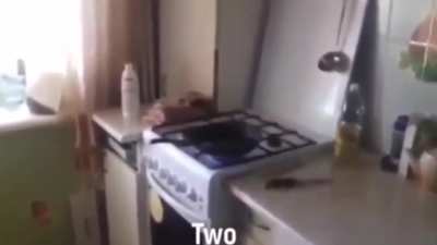 HMB while i set my house on fire