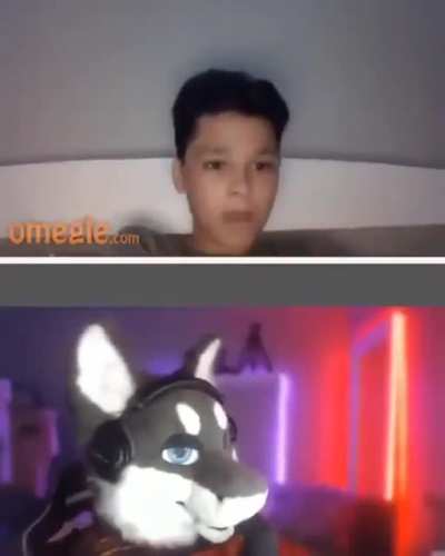 🐶?