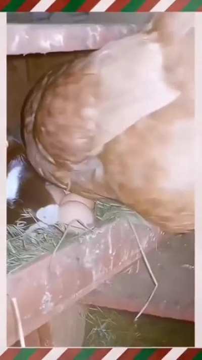 We can share, I guess