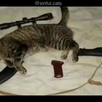 :(