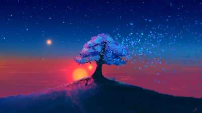 mystic tree