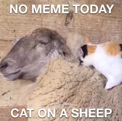 No cum today