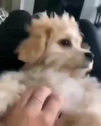 He was having nightmare