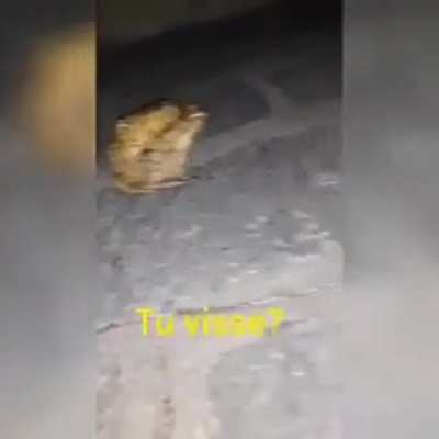 Secsu