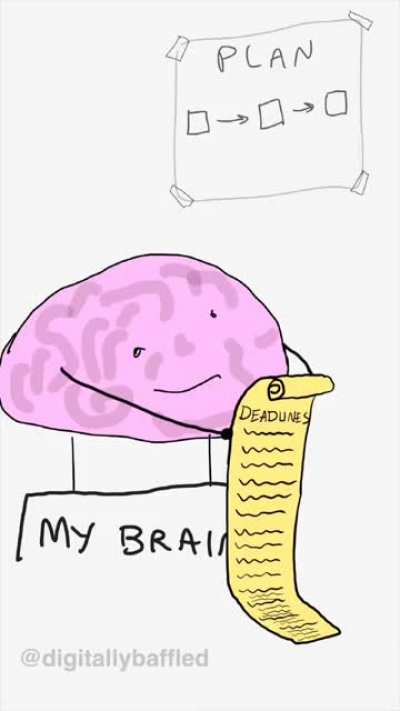 The 
