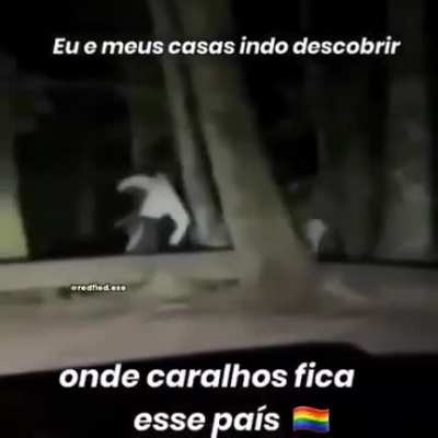 Ate hj a gente ñ acho😔