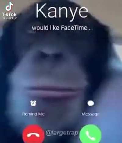 POV: You get a call from Kanye as Monke