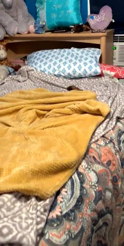 This is my bed now