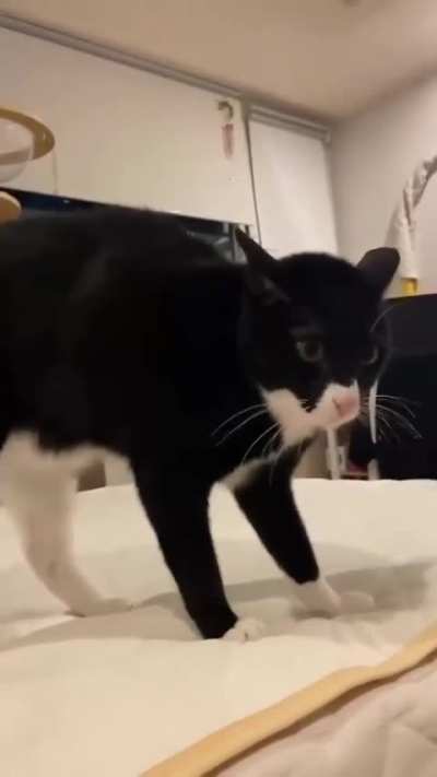 Look how it move the body