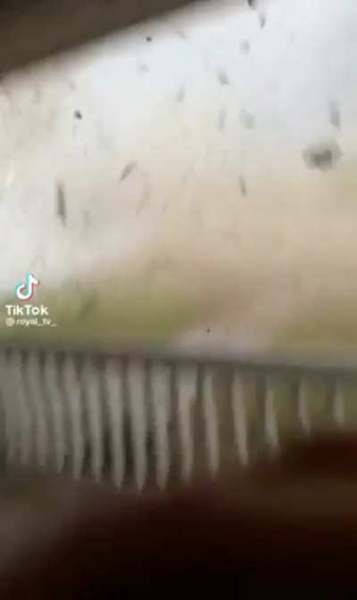 Windy Day be like: