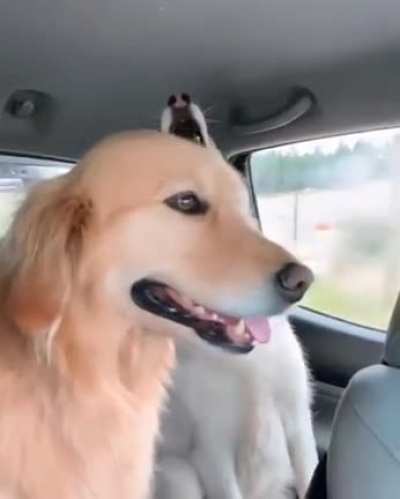 Nothing makes the miles pass by like a little singalong