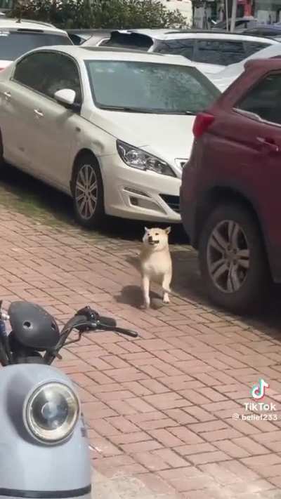 Such a happy boy 