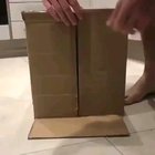 Surprise!