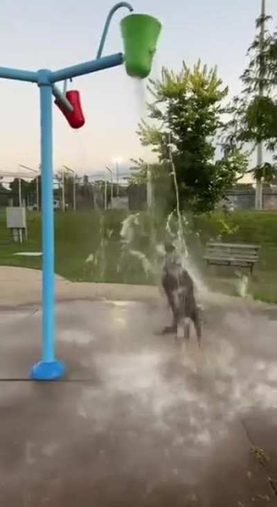 doggone happy…