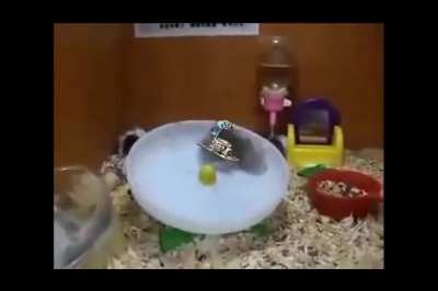 They became one with the spin