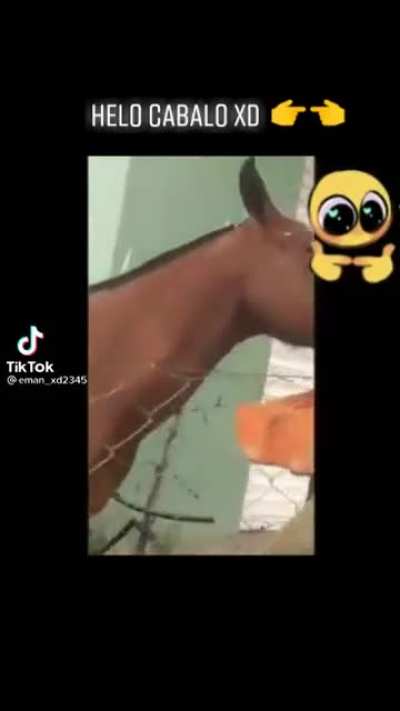 👉👈
