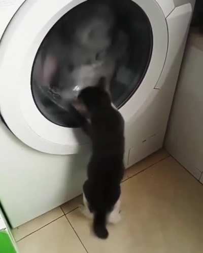 I'll catch you!