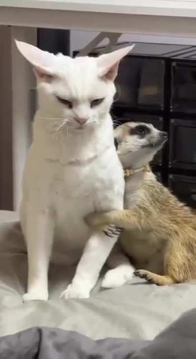 - Let me go 😒