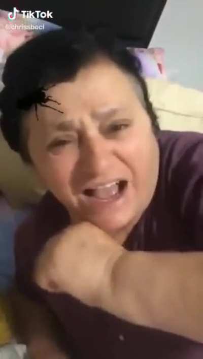 Spider Lulyeta !!
