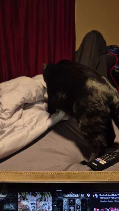 It's rare when he makes biscuits
