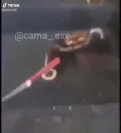 XD