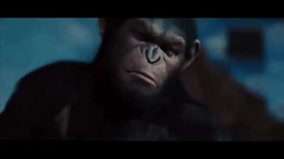 Rise of the Dawn of the War of the Planet of the Apes