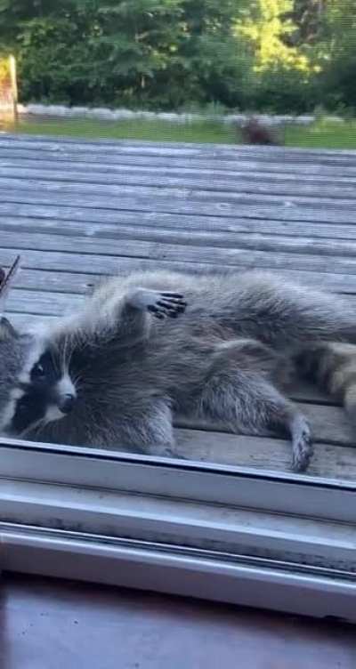 My boy Ricky out here just living his best life